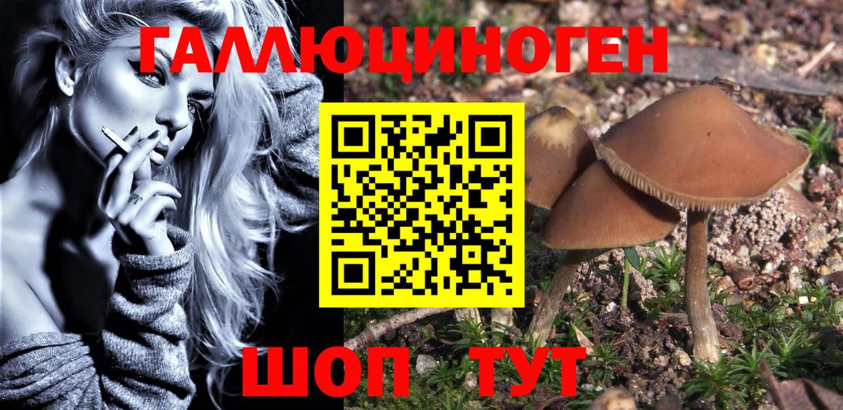 Псилоцибиновые грибы Psilocybe Озёры
