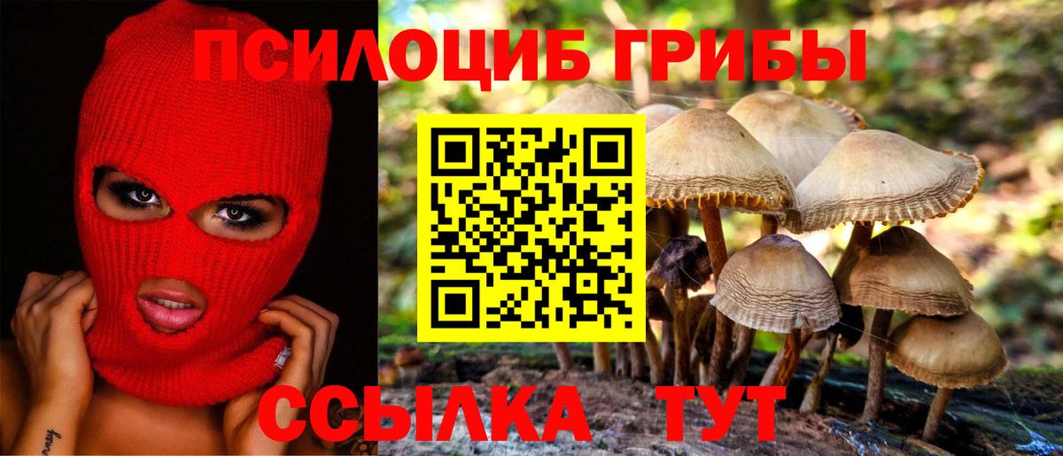 Псилоцибиновые грибы MAGIC MUSHROOMS  Галлюциногенные грибы Cubensis  купить  сайты  Вход с VPN  Озёры 