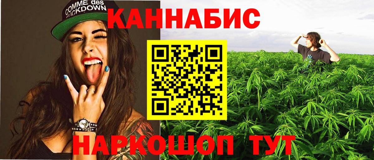 Бошки Шишки конопля Озёры
